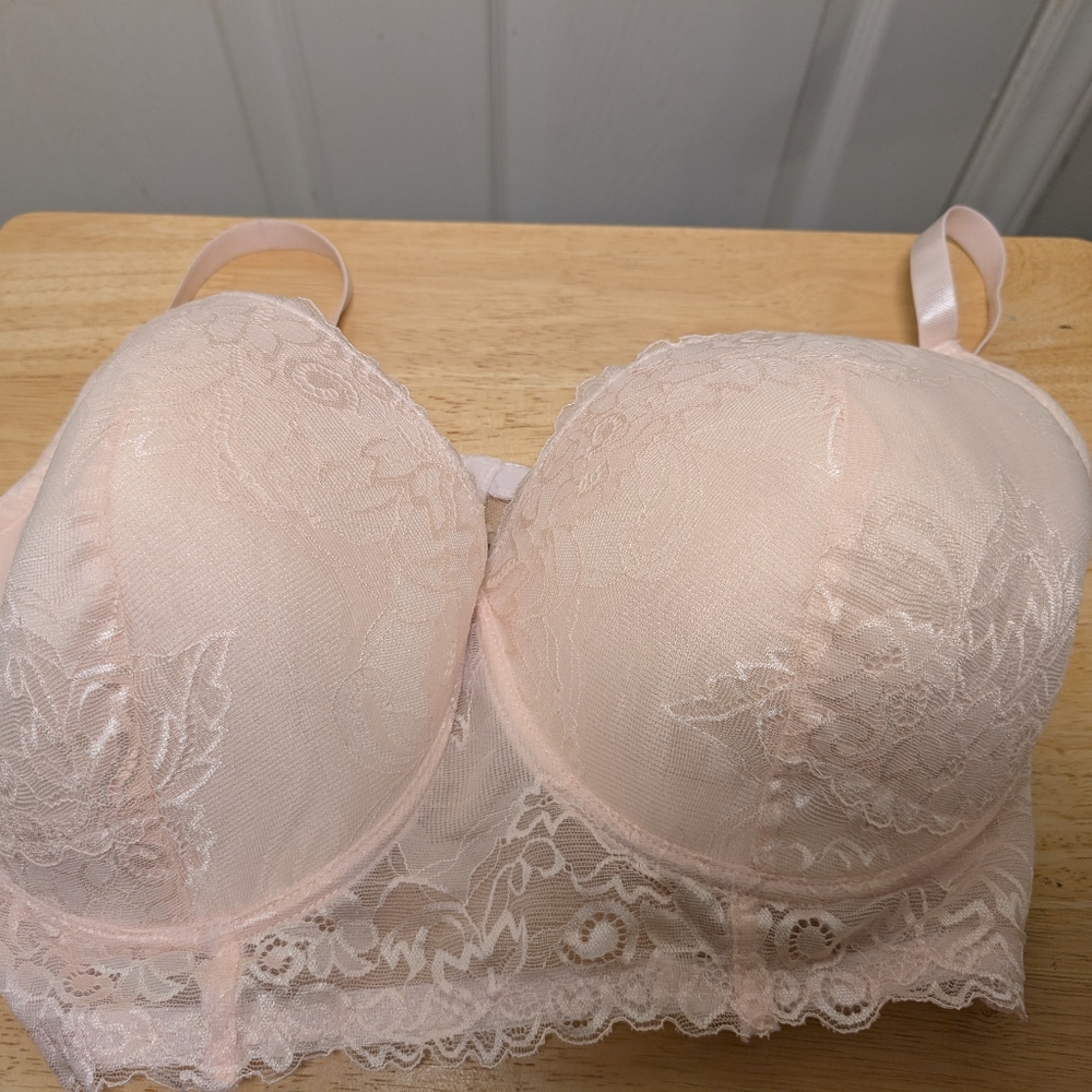 Pure Beauty By Rene Rolfe Light Pink Lace Bra Size 44DD With Underwire
